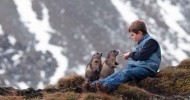 Удивительная дружба мальчика с альпийскими сурками (14 фото)