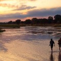 south-luangwa-national-park
