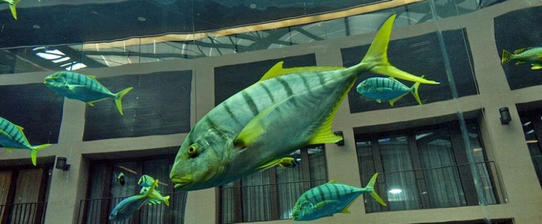 Sealife Aquariumlift