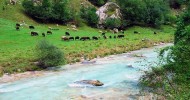 Бирюзовая река Соча (Словения, Италия). 22 фото