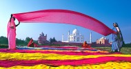 Туристические направления, которые влюбят вас в Индию