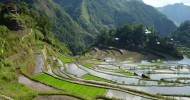 Рисовые террасы в Банауэ