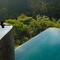Indonesia, Bali, Gianyar, Buahan Payangan, Ubud Hanging Gardens hotel group Orient-Express, one young woman back outstretched arms, infinity pool overlooking the jungle at sunrise