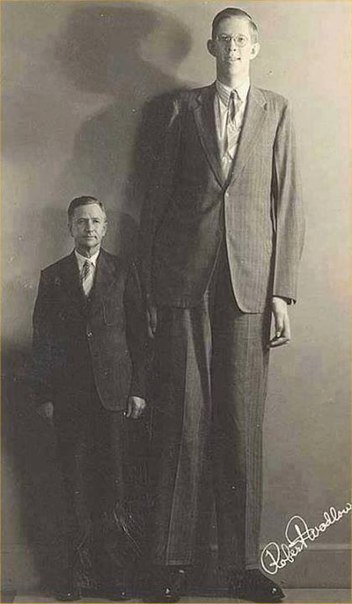 Роберт Уодлоу-самый высокий человек в истории